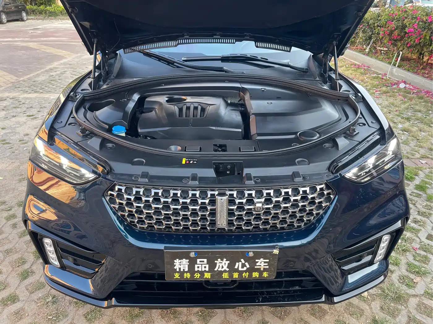 WEI PAI WEI BRAND VV7