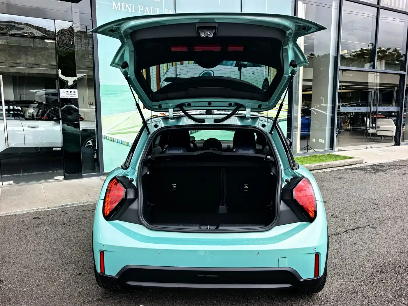 MINI MINI 2025 2023 2.0T COOPER S Artist