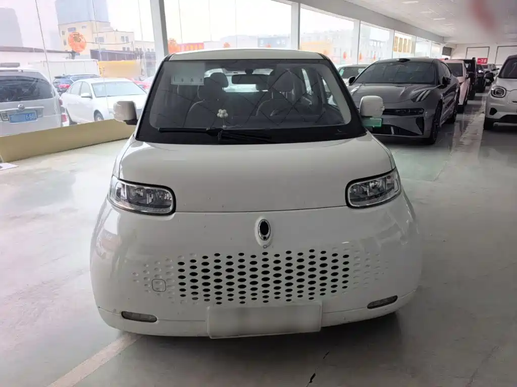 Ora White Cat 2021 2020 305km Luxury