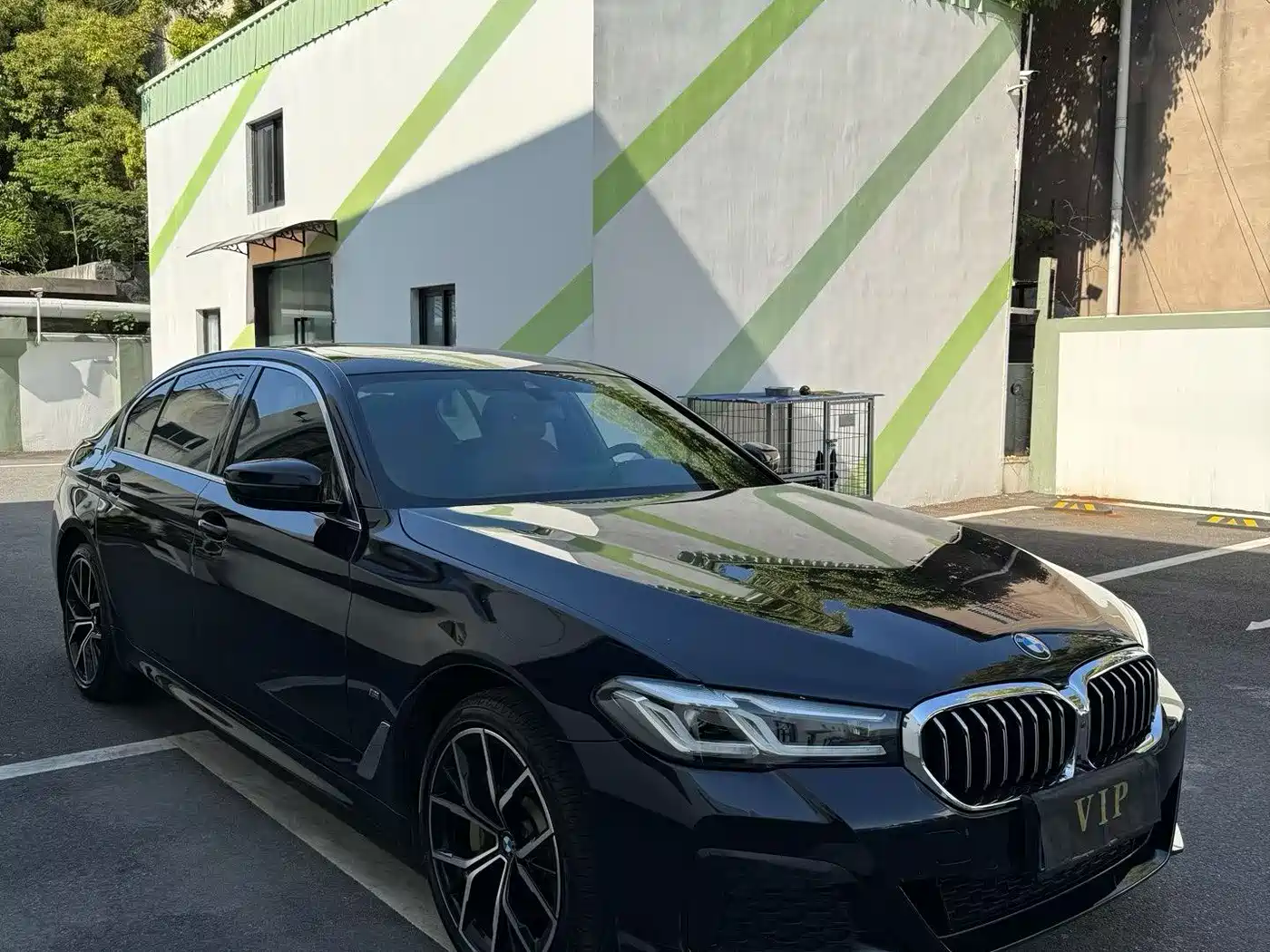 BMW 5 Series 2021 530Li Premium M Sport Package фото 3