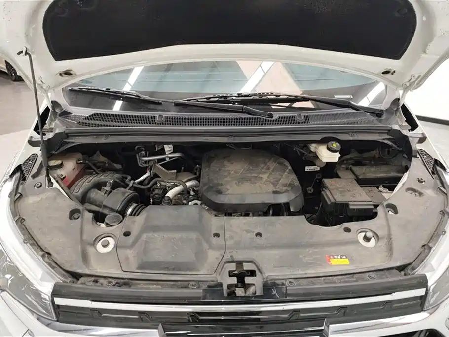 SAIC MAXUS CHASE G20