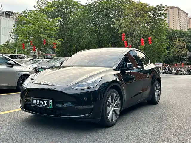 Tesla Model Y Увеличенный запас хода, полный привод