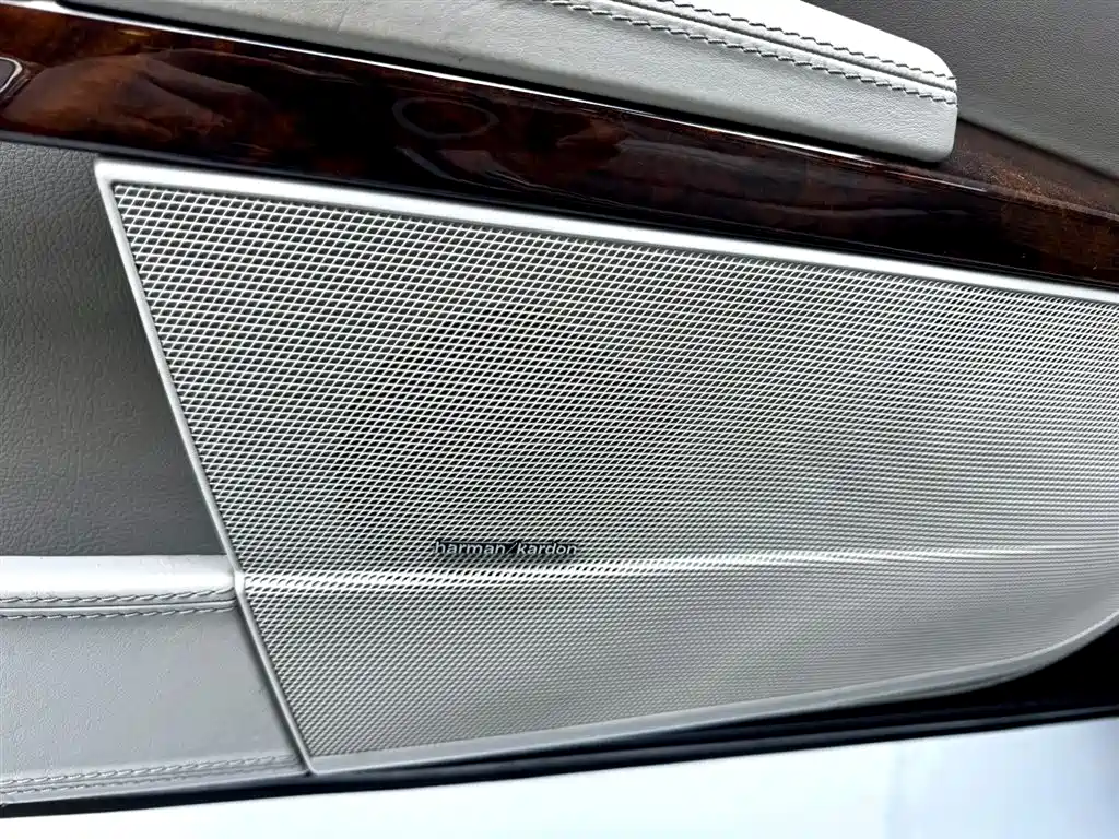 Mercedes-Benz S-Class 2010 S 600 L фото 11