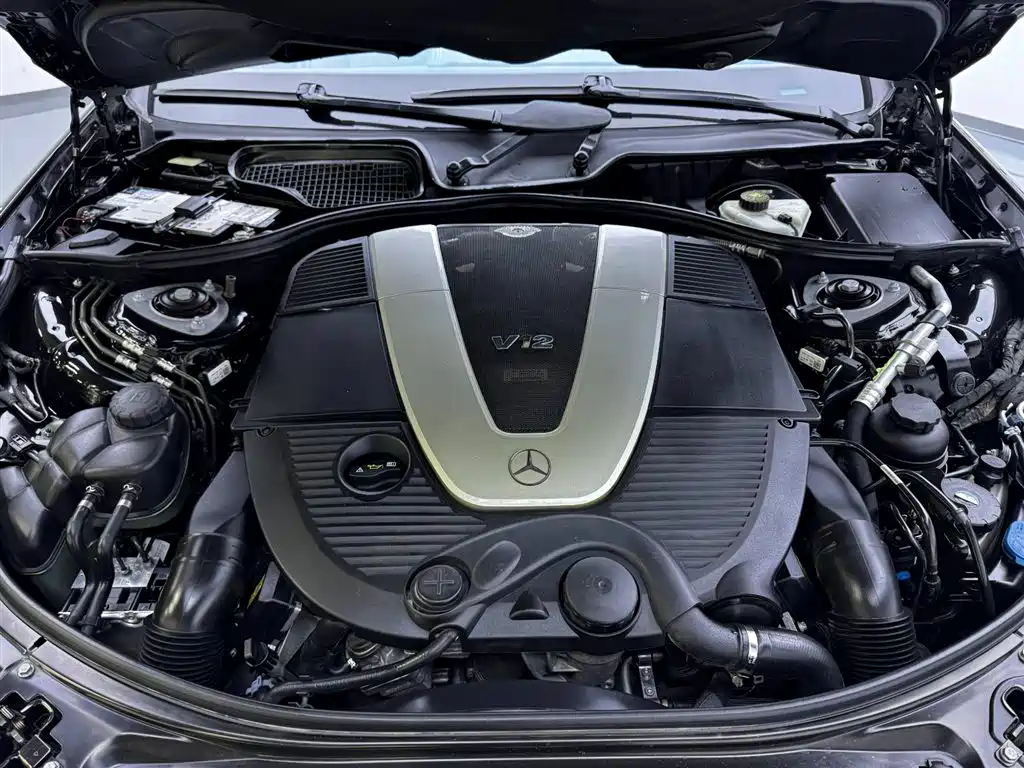 Mercedes-Benz S-Class 2010 S 600 L фото 9