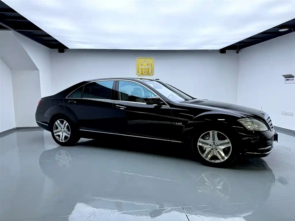 Mercedes-Benz S-Class 2010 S 600 L фото 3