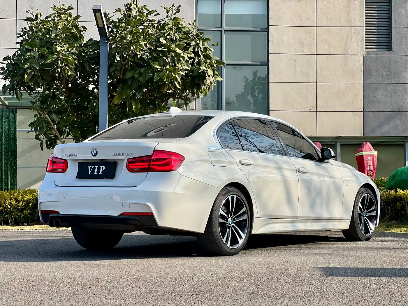 BMW 3 Series 2019 320Li M Luxury Package фото 9