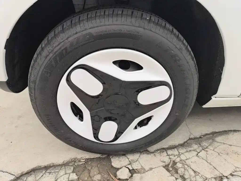 Geely Galaxy Panda 2026 2025 Panda mini 210km Vitality Bear