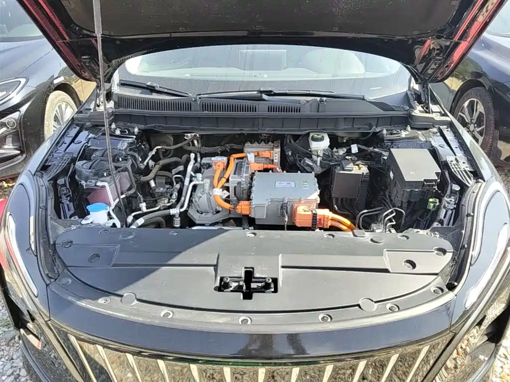 Hongqi E-QM5 2023 Facelift Basic Travel Edition фото 20