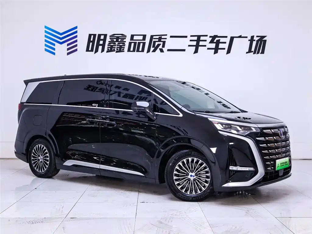 Denza D9 2024 DM-i 980 AWD Flagship фото 5