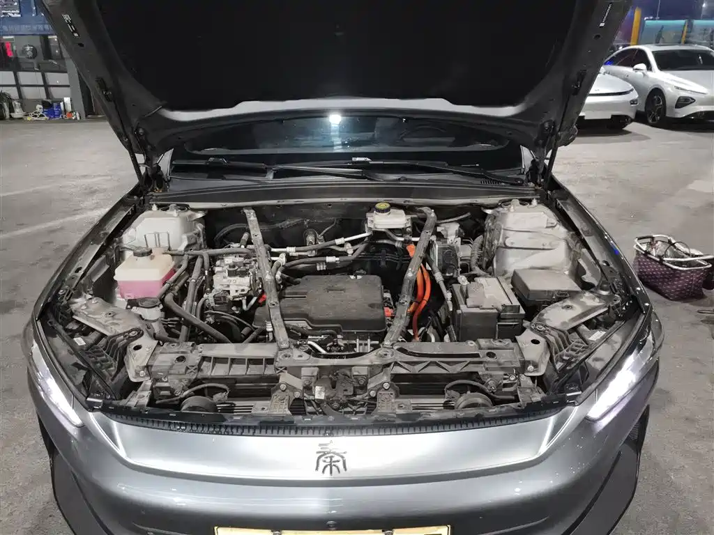 BYD Qin PLUS 2023 Champion Edition EV 510KM Advanced Type фото 20