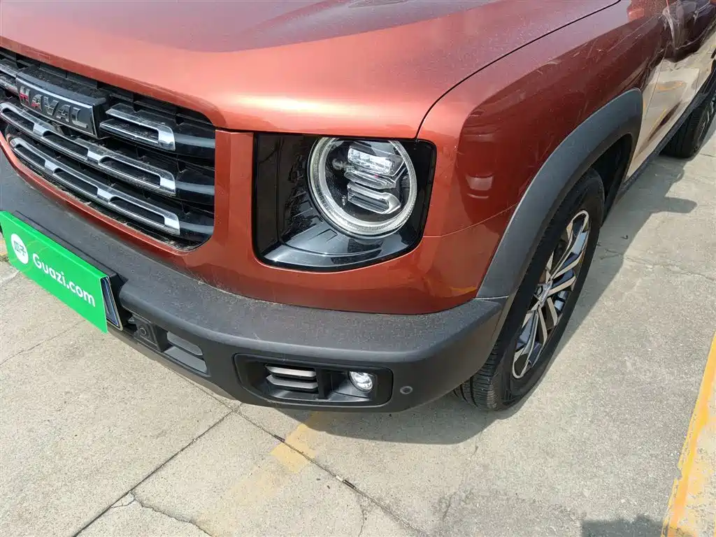 Haval Big Dog 2021 1.5T DCT 2WD Border Collie Edition фото 18