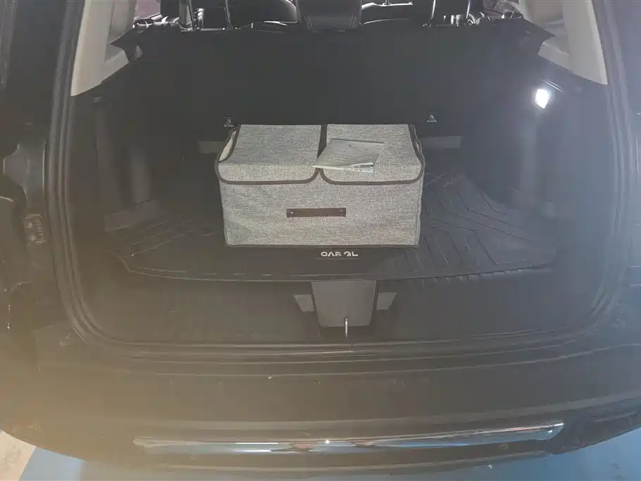 Haval Big Dog 2024 2.0T DCT Chinese Rural Dog Edition фото 4
