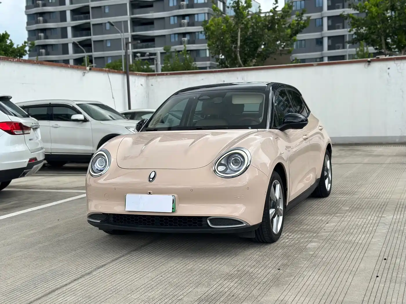 Ora Good Cat 2021 2021 400km Standard Range Venus Edition (LFP)