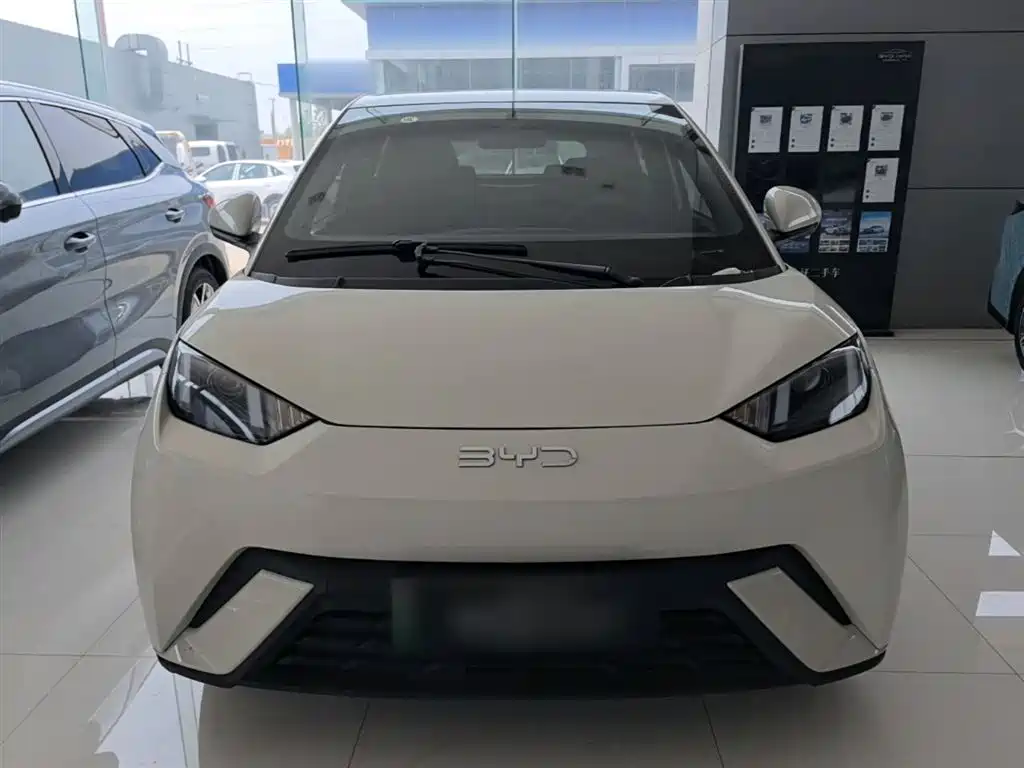 BYD Seagull 2024 Glory Edition 305km Vitality Edition фото 3
