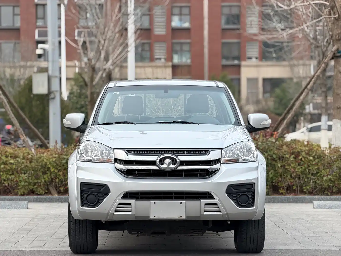 GREAT WALL FENGJUN 5