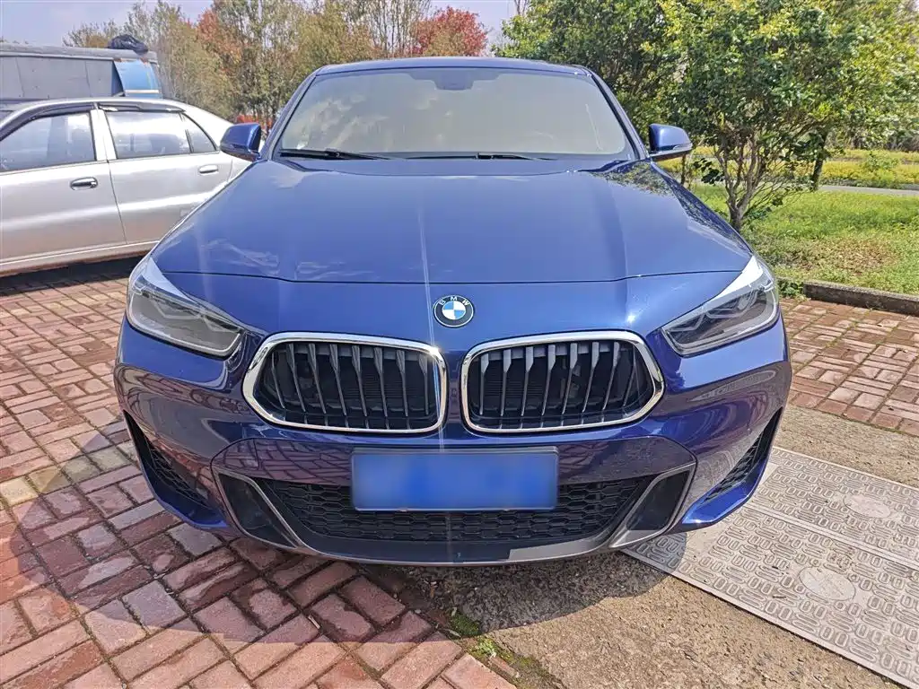 BMW X2 2020 sDrive25i Leading M Sport Package фото 3