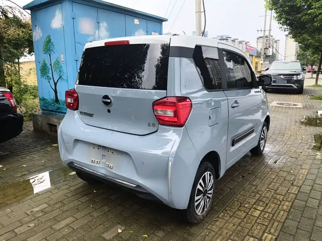BAW Yuanbao 2023 2022 Smart Cute Edition
