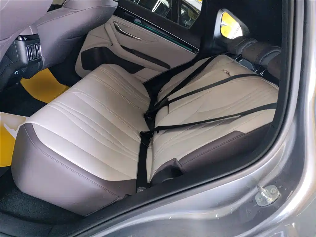 BYD Song PLUS PHEV 2025 DM-i 112KM Premium фото 13