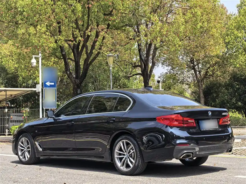 BMW 5 Series 2020 525Li M Sport Package фото 25