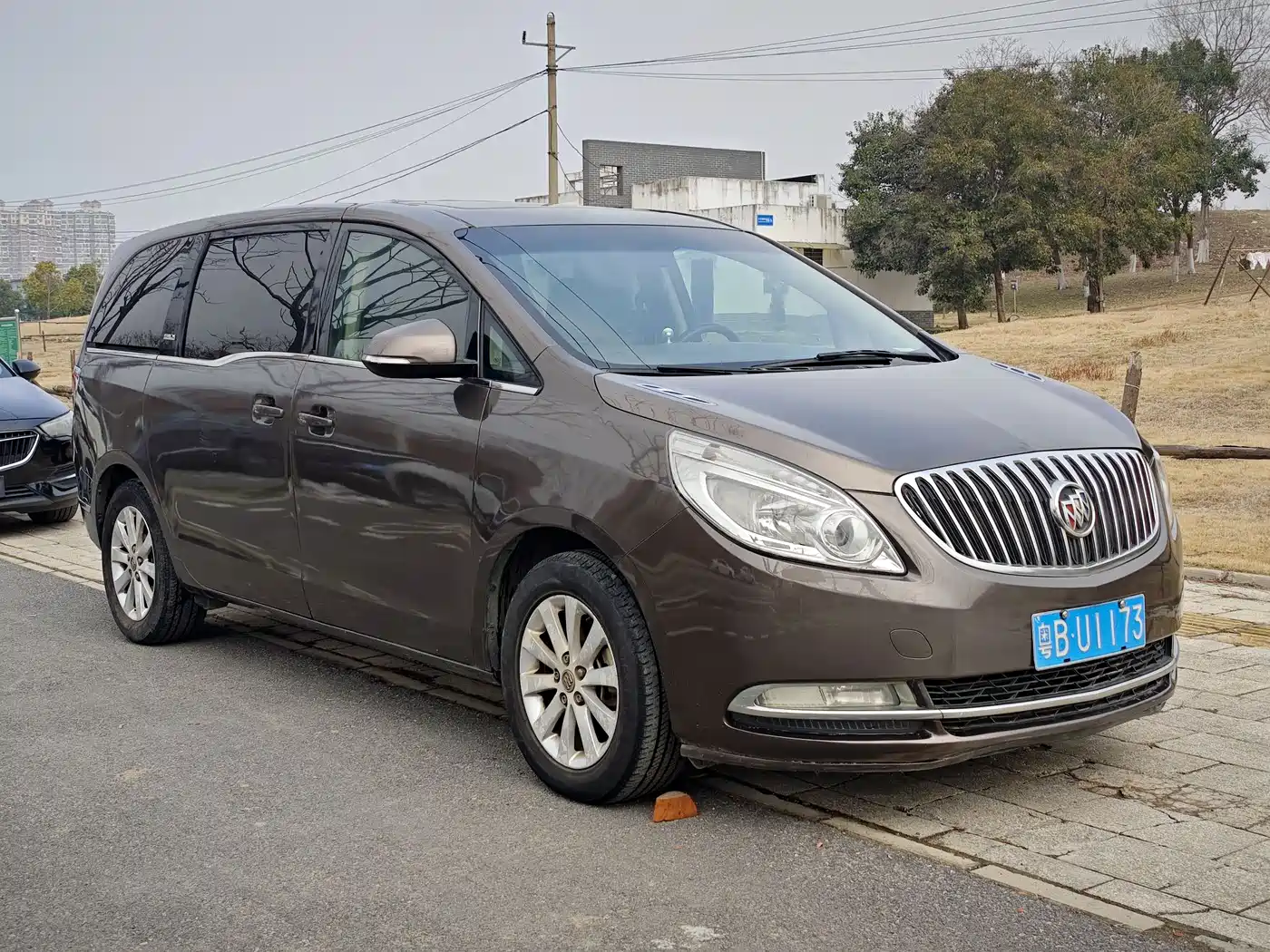 Buick GL8 2013 2.4L CT Luxury Business Comfort Edition фото 3