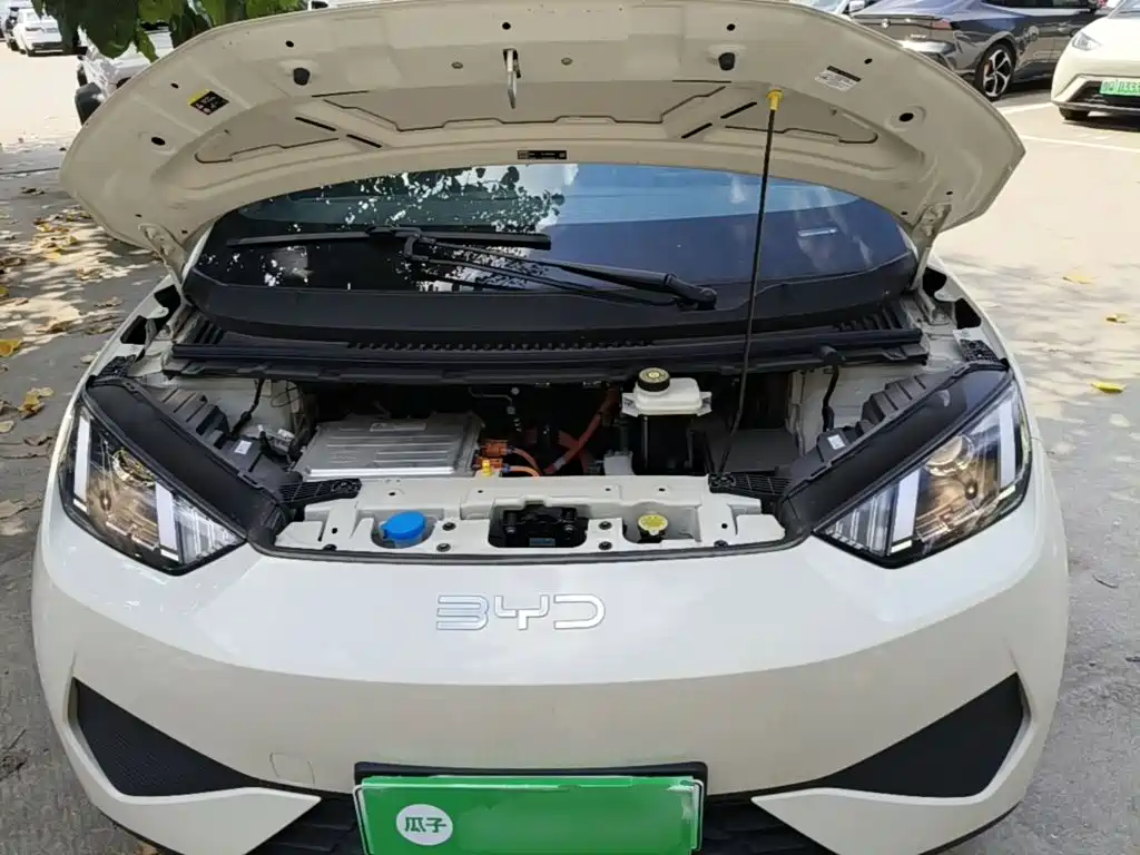 BYD Seagull 2026 2025 Smart Drive Edition 305km Vitality Version