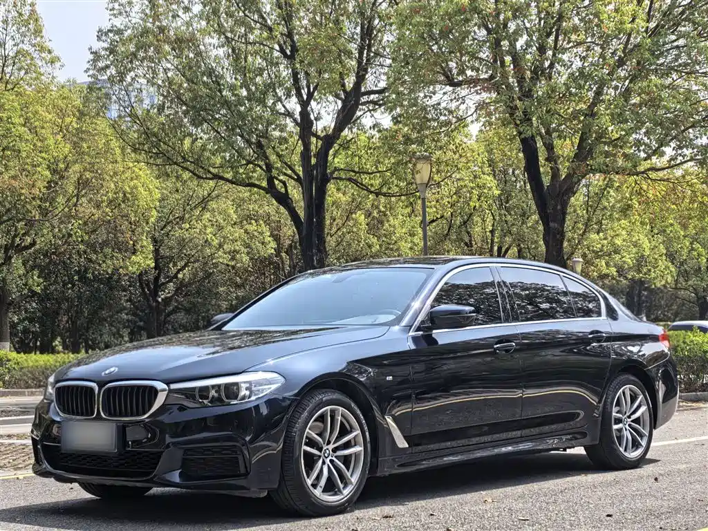 BMW 5 Series 2020 525Li M Sport Package фото 2