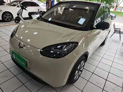 Wuling Bingo