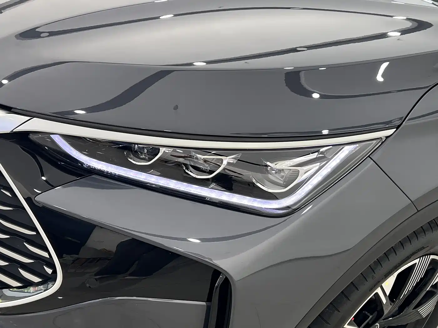 BYD Tang New Energy 2024 DM-p Champion Edition 215KM AWD Flagship фото 3