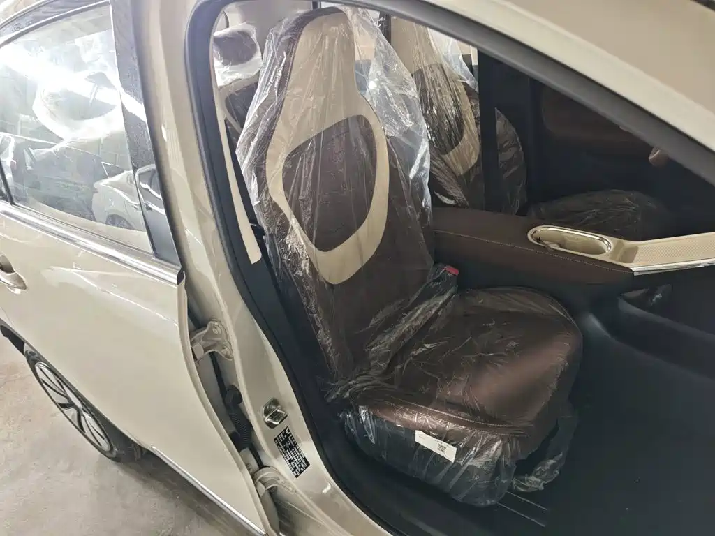 Wuling Motors Wuling Bingo 2026 2025 Model 333km Joy Edition