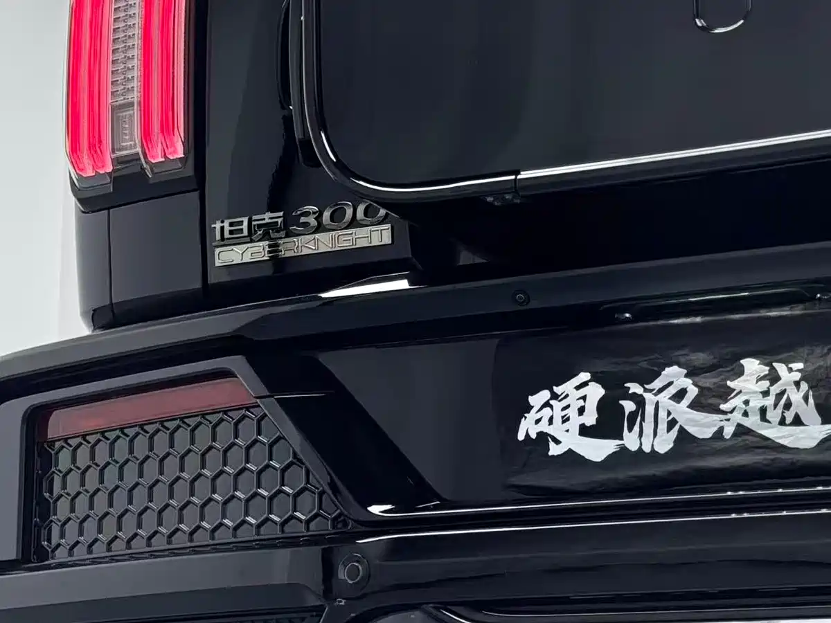 Crossboundary Auto Co-created Tank 300 2023 2.0T Cyber Knight фото 17