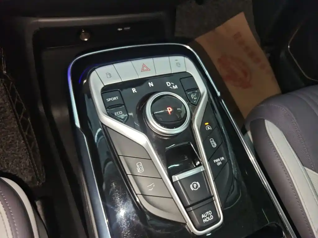 Maxus G20 2019 2019 Debut Edition 2.0T Auto Luxury Executive (China V)