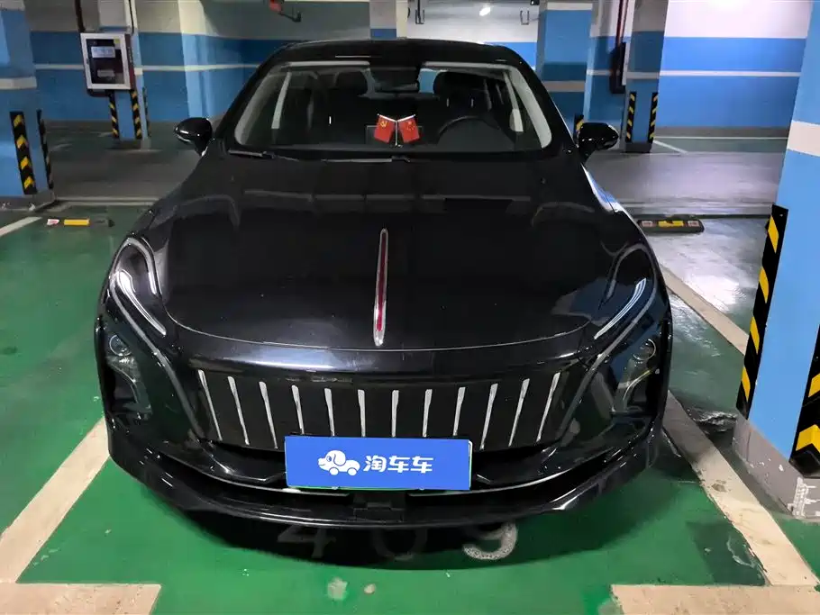 Hongqi HONGQI E QM5