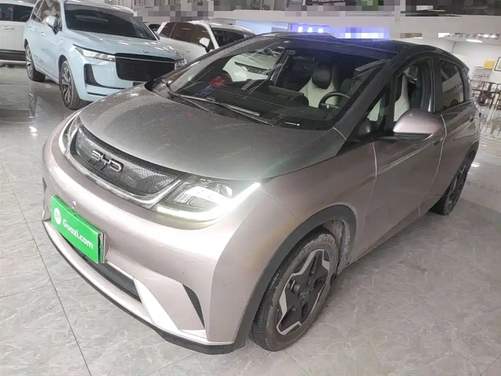BYD Dolphin 2021 Model 405km Fashion Edition