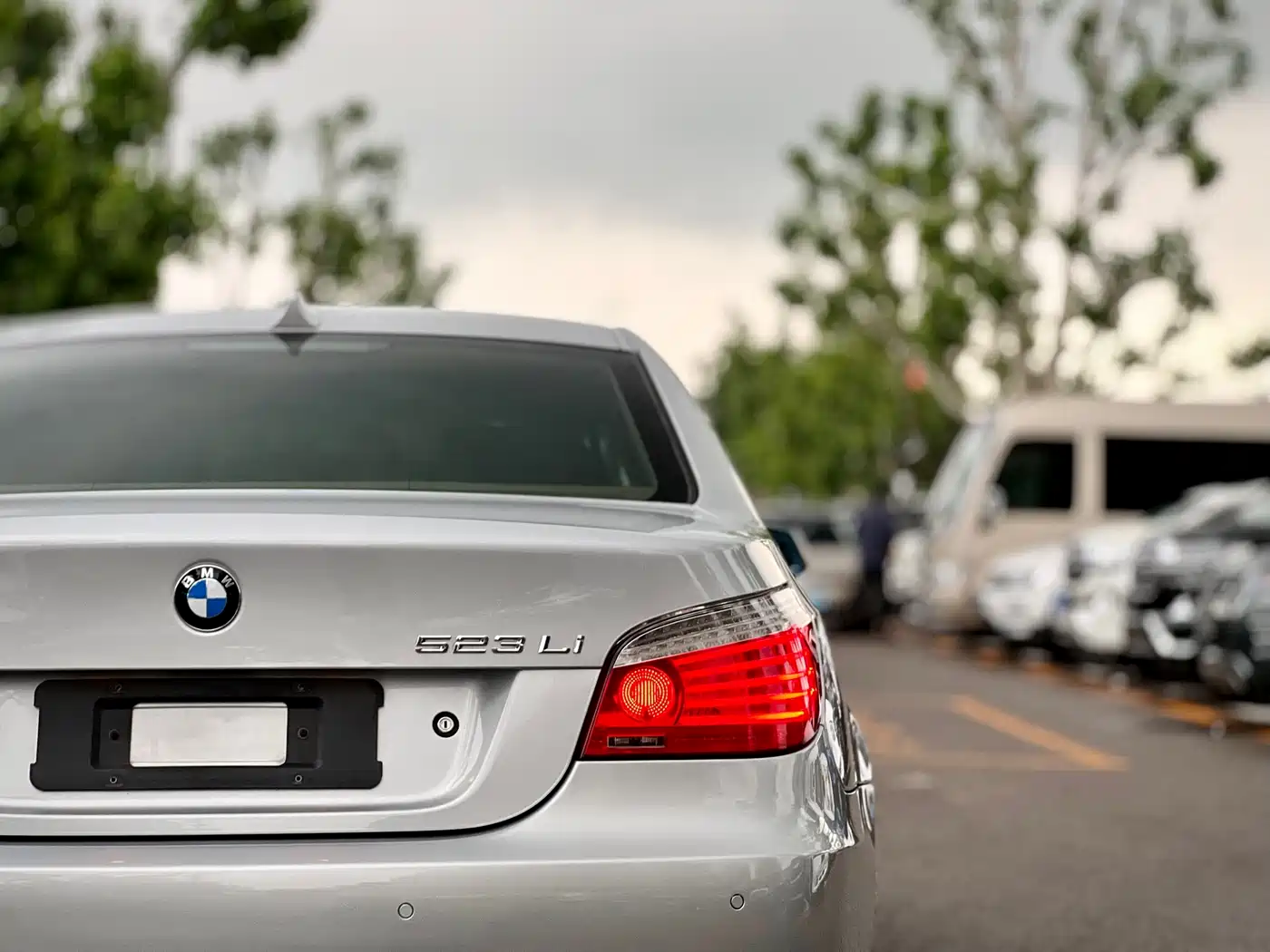 BMW 5 Series 2008 523Li Elegance фото 49