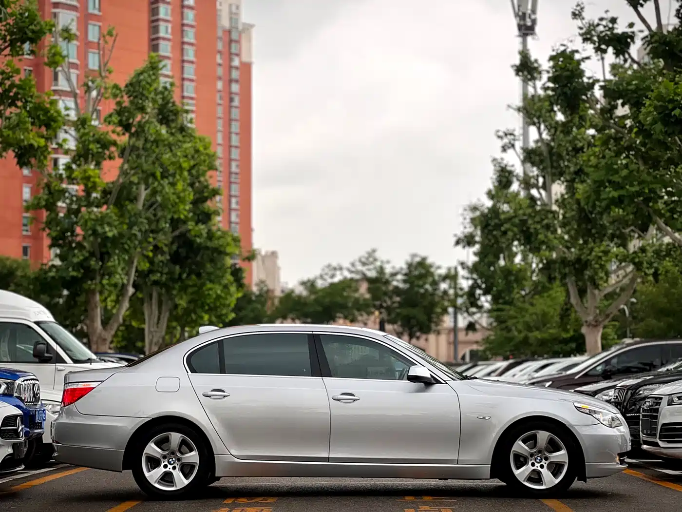BMW 5 Series 2008 523Li Elegance фото 4