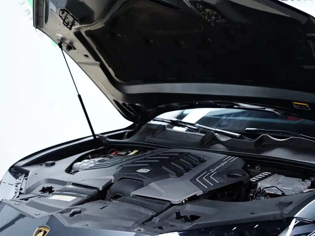 Lamborghini Urus 2018 4.0T V8 фото 57