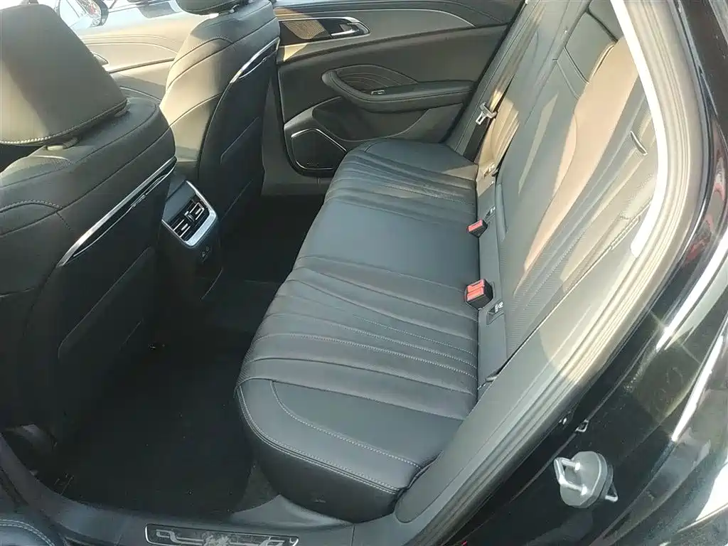 Hongqi H5 2024 2.0T Automatic Smart Connect Flag Smooth Edition фото 13