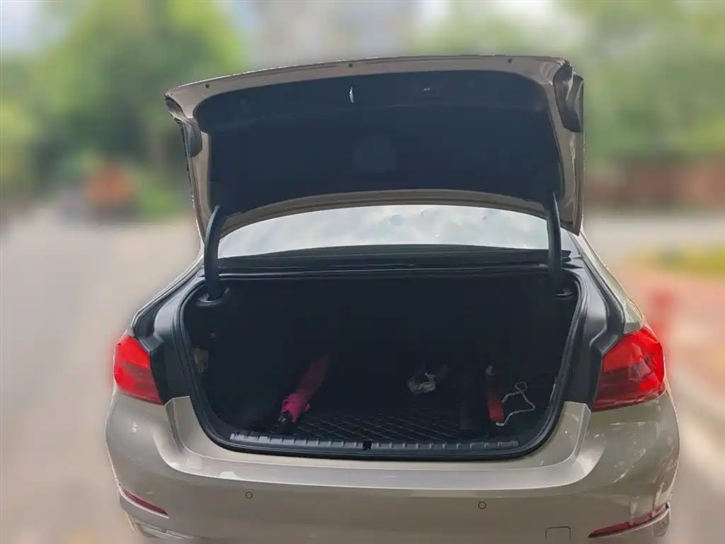 BMW 5 Series 2018 Facelift 530Li Leading Luxury Package фото 16