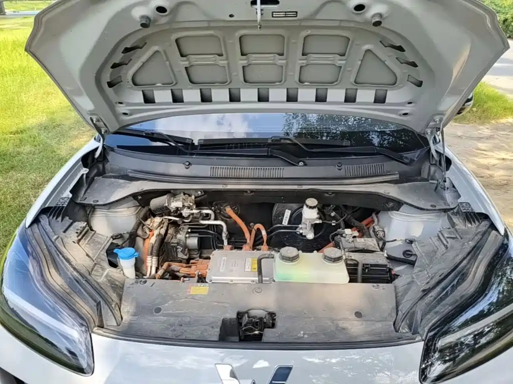 Фото 20 - Wuling Motors Wuling Binguo PLUS