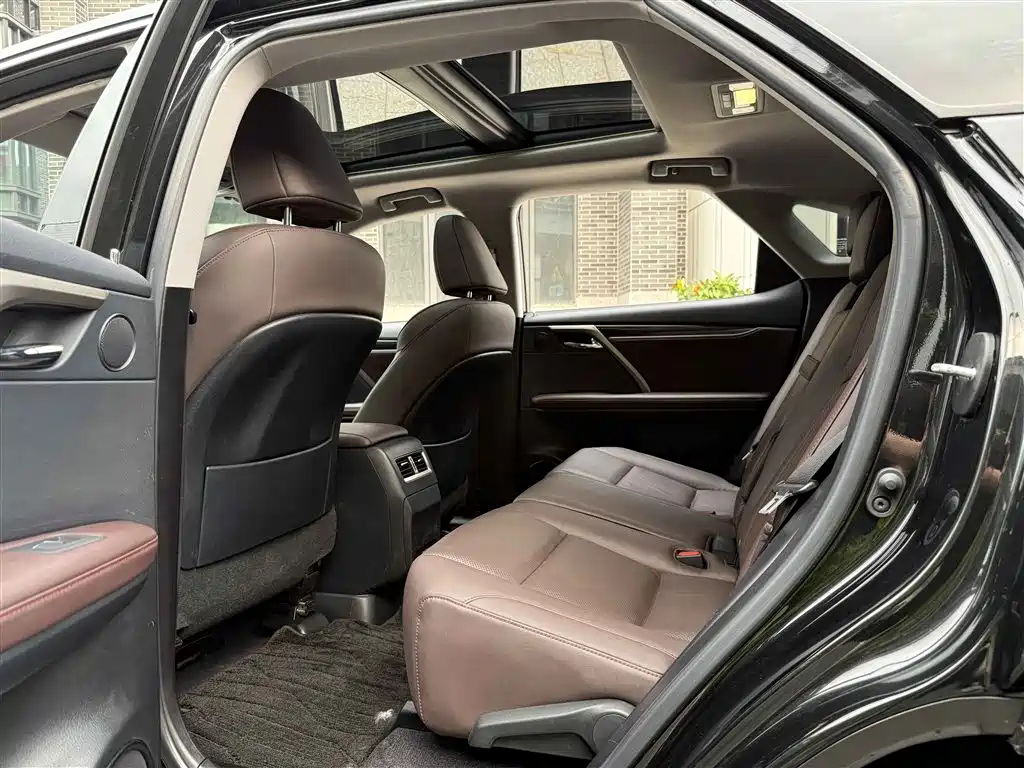 Lexus RX 2020 300 4WD Elegance Edition China VI фото 6