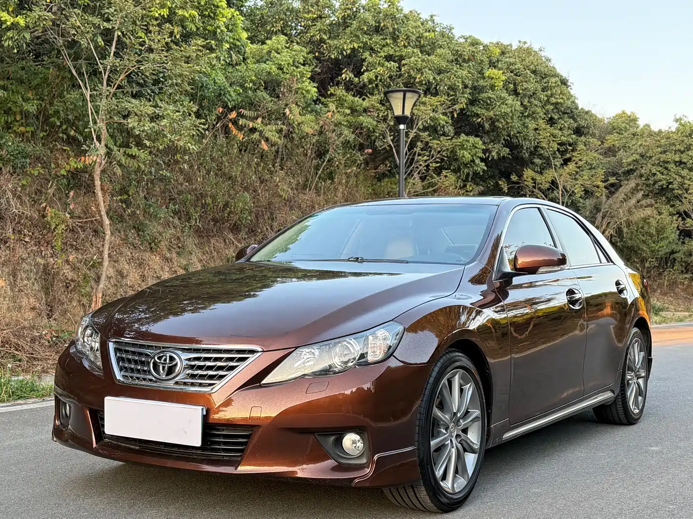 Toyota Reiz 2012 2.5V Grace Elite Styling Edition