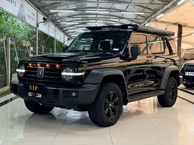 Tank 300