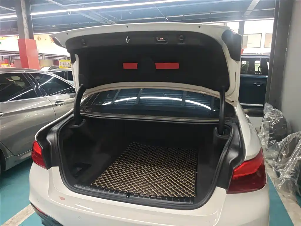 BMW 5 Series 2020 525Li M Sport Package фото 15
