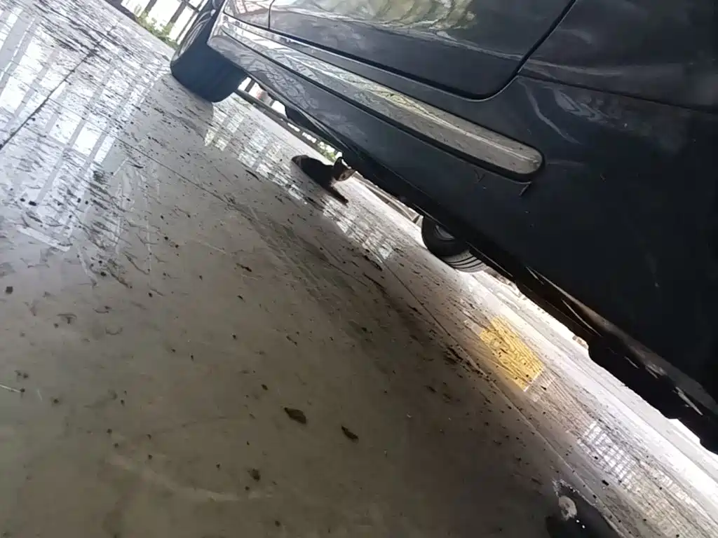 Фото 21 - Infiniti Q50L