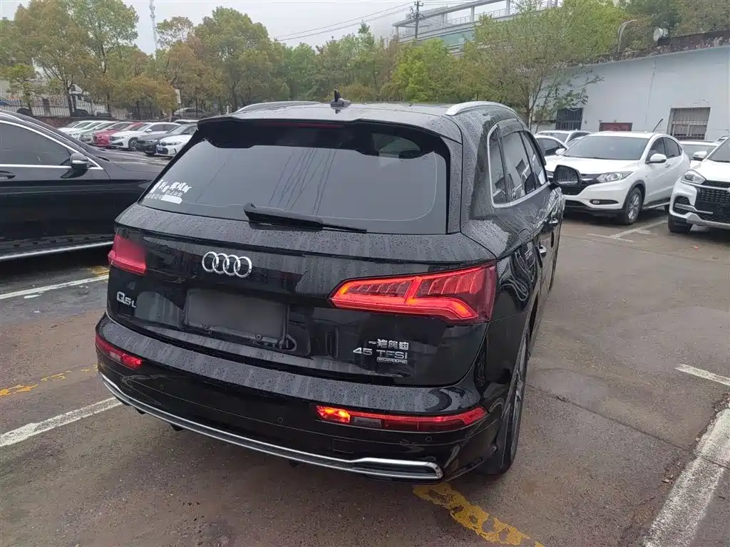 Audi Q5L 2018 45 TFSI Exclusive Fashion (China V) фото 5