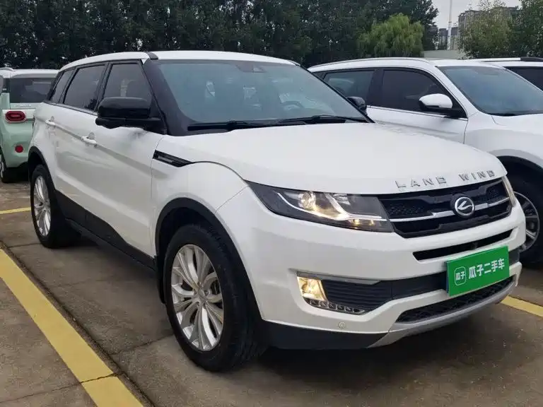 Фото 4 - Landwind X7