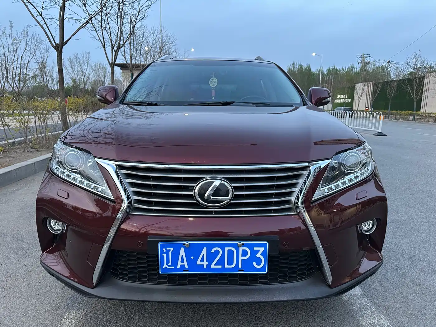 Lexus RX Classic 2014 270 Special Limited Edition фото 2