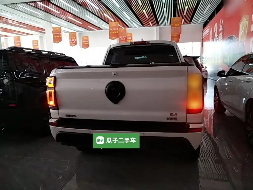 Great Wall Shanhai Cannon 2025 2025 2.4T Global Edition Base Model