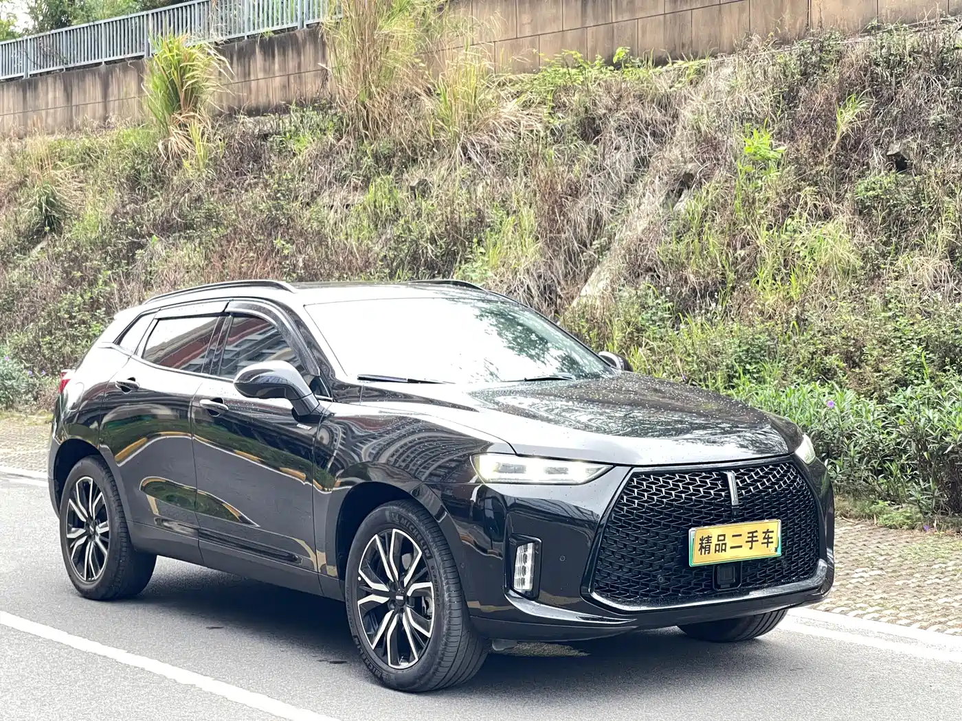 WEI PAI WEI BRAND P8