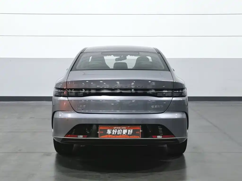 BYD Destroyer 05 2024 2024 Glory Edition DM-i 55KM Luxury